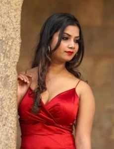 call girl service in Sinnar